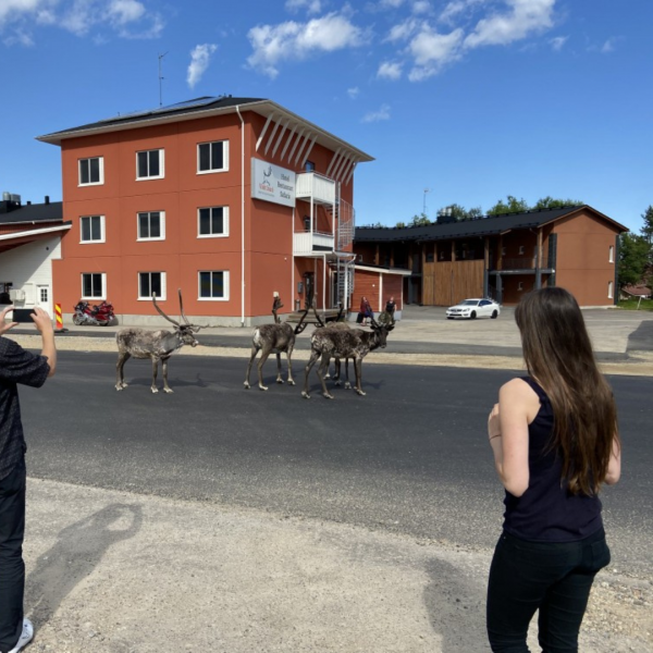 Visite ville d'inari en Laponie