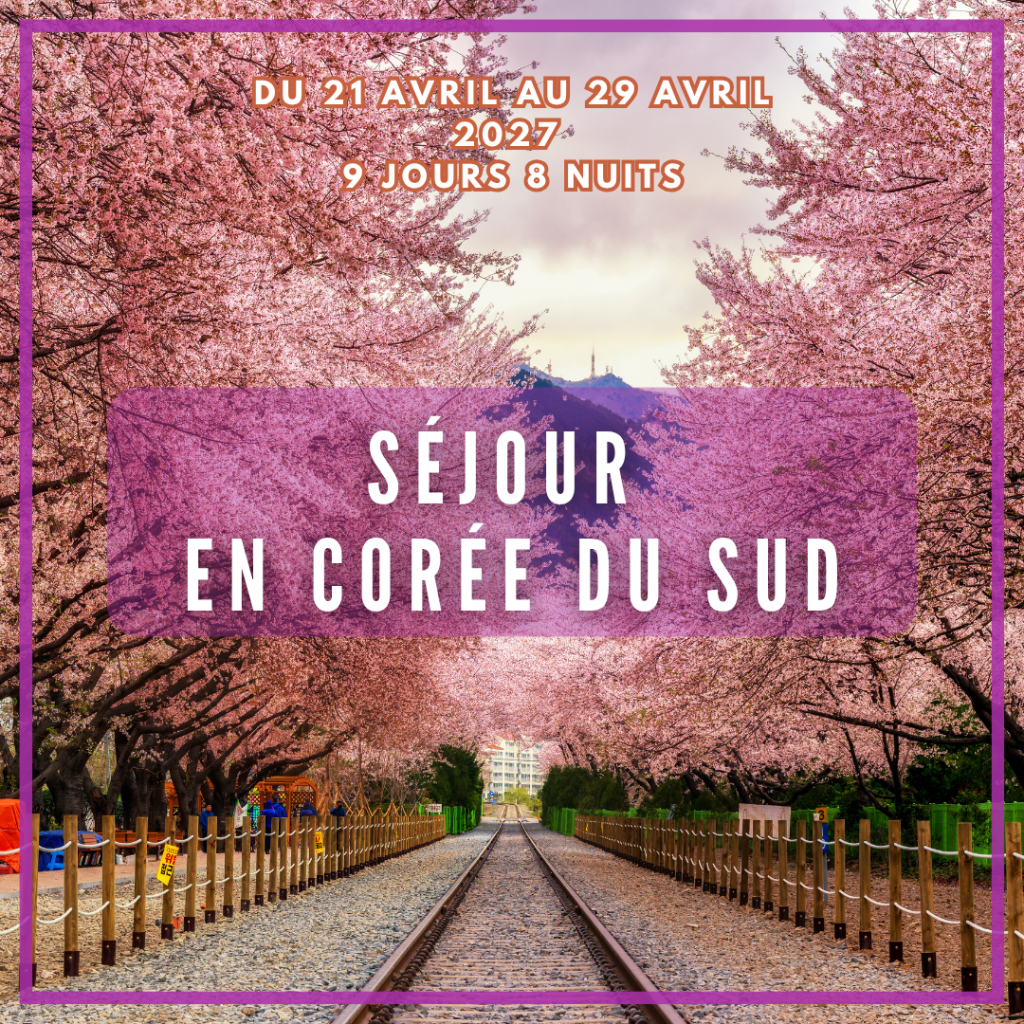 Voyage Corée du Sud entre filles : Séoul, Busan & K-Beauty