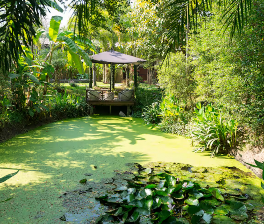 étang de luxe, séjour entre filles