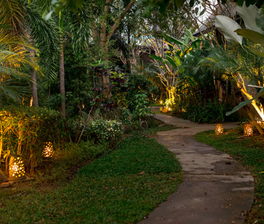 jungle séjour entre filles