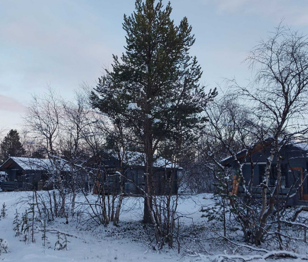 les maisons authentique séjour en Laponie